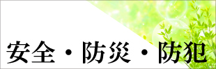 安全